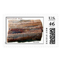Petrified Wood postage by Minpics Petrified Wood postage