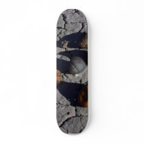 Petrified Wood skateboards by lifesphere Petrified Wood skateboards