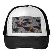 Petrified Wood Trucker Hat