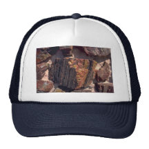 Petrified wood wall hat