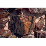 Petrified wood wall cut outs