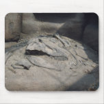 Petrifying mousepads
