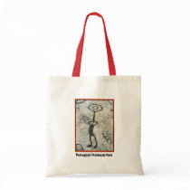 Petroglyph Provincial Park bags