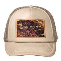 PETROGLYPHS NEVADA DESERT AMERICAN SOUTHWEST TRUCKER HAT