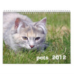 pets 2012 calender wall calendar