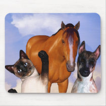 Pets 2 Love mousepads