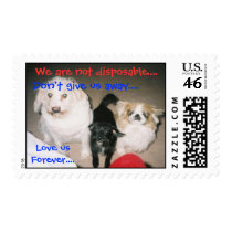 Pets are Forever Stamps