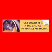 PETS bumper stickers by YOGI_1 PETS bumper stickers