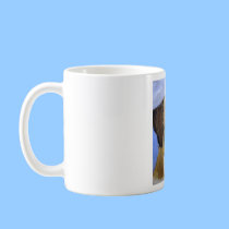 pets by eric ginsburg mugs