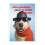 Pets Dog Secret Admirer Valentine Jitka Postcards