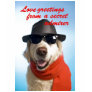 Pets Dog Secret Admirer Valentine Jitka T Shirt