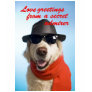 Pets Dog Secret Admirer Valentine Jitka Tee Shirt