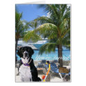 Pets On Vacation cards by Firecrackinmama Pets On Vacation cards