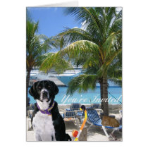 Pets On Vacation cards by Firecrackinmama Pets On Vacation cards