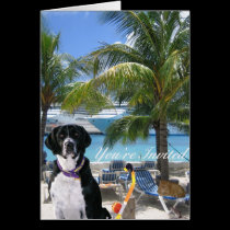 Pets On Vacation cards