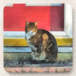 Pets - Tabby Cat by Red Door Beverage Coasters