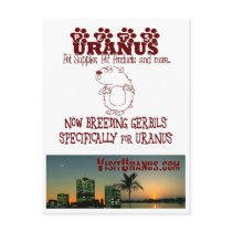 Pets Uranus postcards by WearUranus Pets Uranus postcards