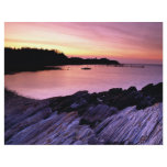 Pettes Cove, Grand Manan Island, New Brunswick, Ca Custom Flyer