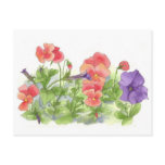 Petunia and Pansies Love Serenity Post Cards