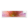 Petunia Bliss Bumper Stickers