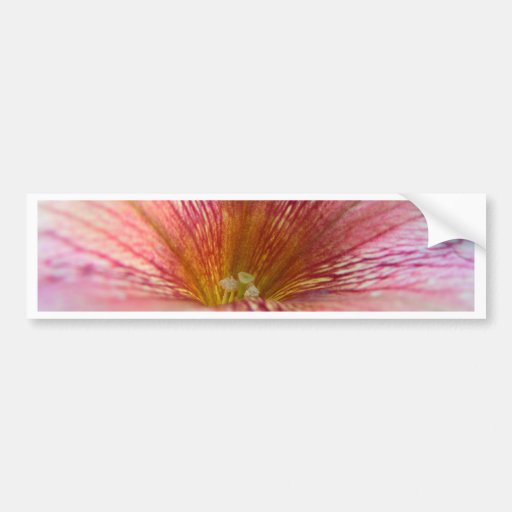 Petunia Bliss Bumper Stickers