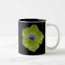 Petunia Green and Blue Mug