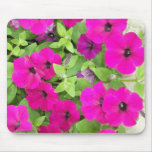 Petunia Mousepads