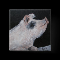 "Petunia Pig" Square Button buttons