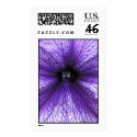 Petunia postage
