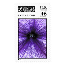 Petunia postage