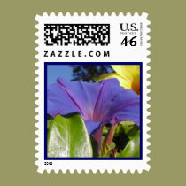 Petunia  - Small Sized postage