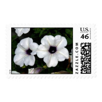 Petunia Stamp stamps