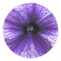 Petunia stickers