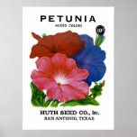 Petunia Vintage Seed Packet Posters