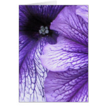 Petunias Card