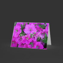 Petunias Congratulations cards