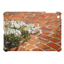 Petunias de la puesta del sol
