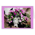 PETUNIAS IN MOM'S PLANTER cards