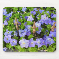 petunias in the garden mousepads