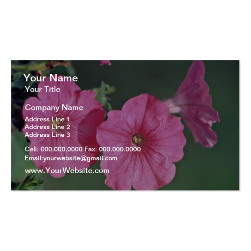 Petunias Pink flowers Business Cards (front side)