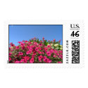 Petunias postage by aimeeroo Petunias postage