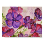 Petunias posters