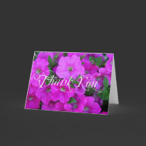 Petunias - Thank  You cards