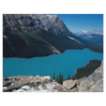 Peyto Lake, Icefield Parkway, Alberta, Canada flyers