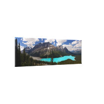Peyto Lake in Summer Stretched Canvas Print
