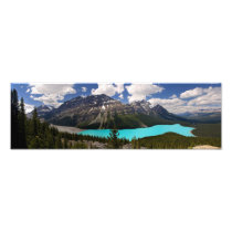 Peyto Lake in Summer Photographic Print