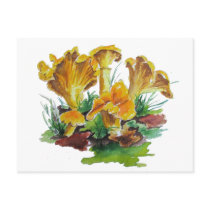 Pfifferlinge Post Card