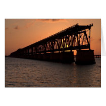Pflager Bridge cards