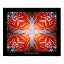 PG#1-00002 posters by CoolBreezeLady PG#1-00002 posters