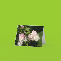 PG Hydrangea Blossoms Card cards